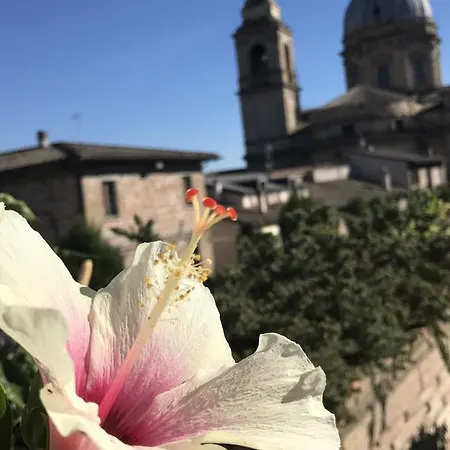Il Cantico 3* Assisi
